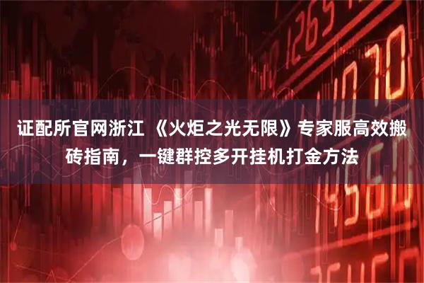 证配所官网浙江 《火炬之光无限》专家服高效搬砖指南，一键群控多开挂机打金方法