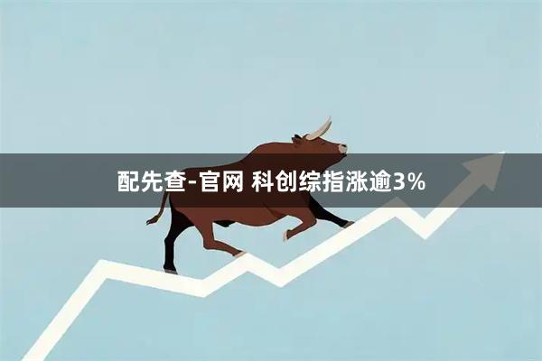 配先查-官网 科创综指涨逾3%